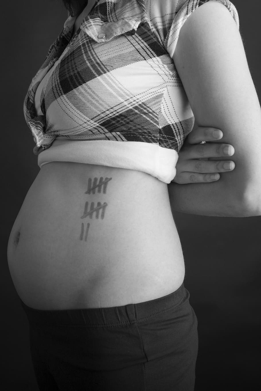 pregnancy, baby belly, pregnant, belly, birth, human, woman, development, months, week