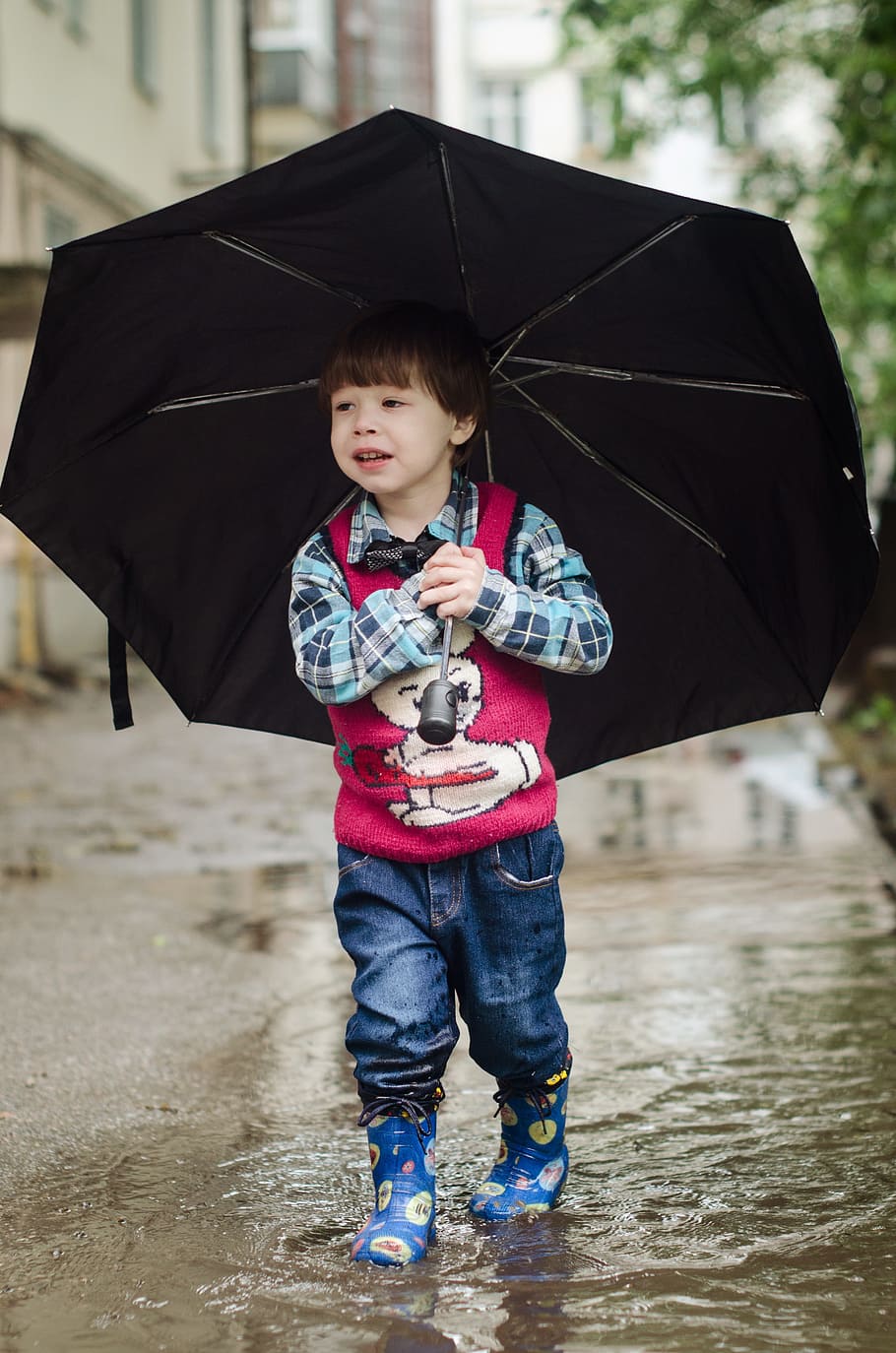 umbrella, puddle, kid, baby, kids, boy, felix, rain, stroll, childhood
