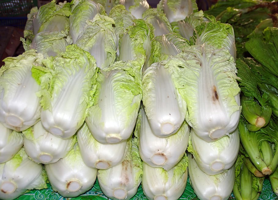 vegetables, chinese cabbage, pe-tsai, salad, display, market, food, produce, feed, food and drink