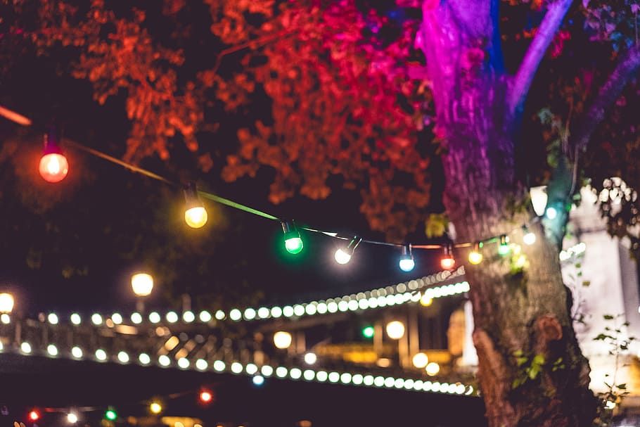 lights, night garden party, Colorful, Lights on, Night, Garden Party, birthday, celebration, cheers, colors