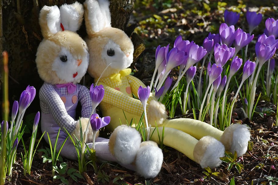 two, yellow, rabbit, plush, toys, crocus, easter, deco, spring, flowers