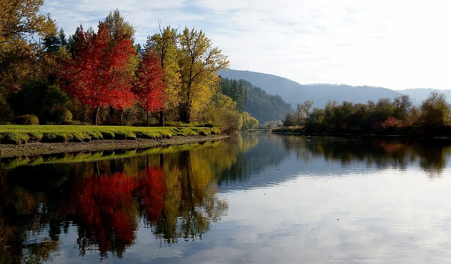 saint maries river, north idaho, river, idaho, reflection, fall color, fall leaves, scenic river, scenic, nature