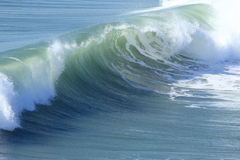 water waves, wave, ocean, nature, beach, sea, curl, surf, shore, water
