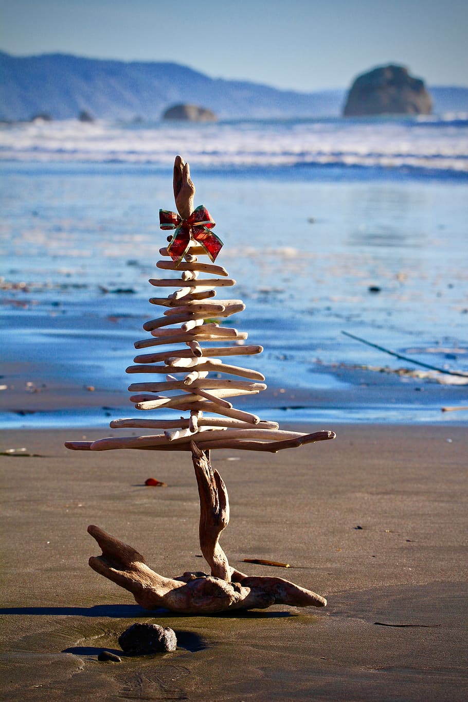 christmas, beach, sea, holiday, sky, nature, sand, driftwood, christmas tree, ocean