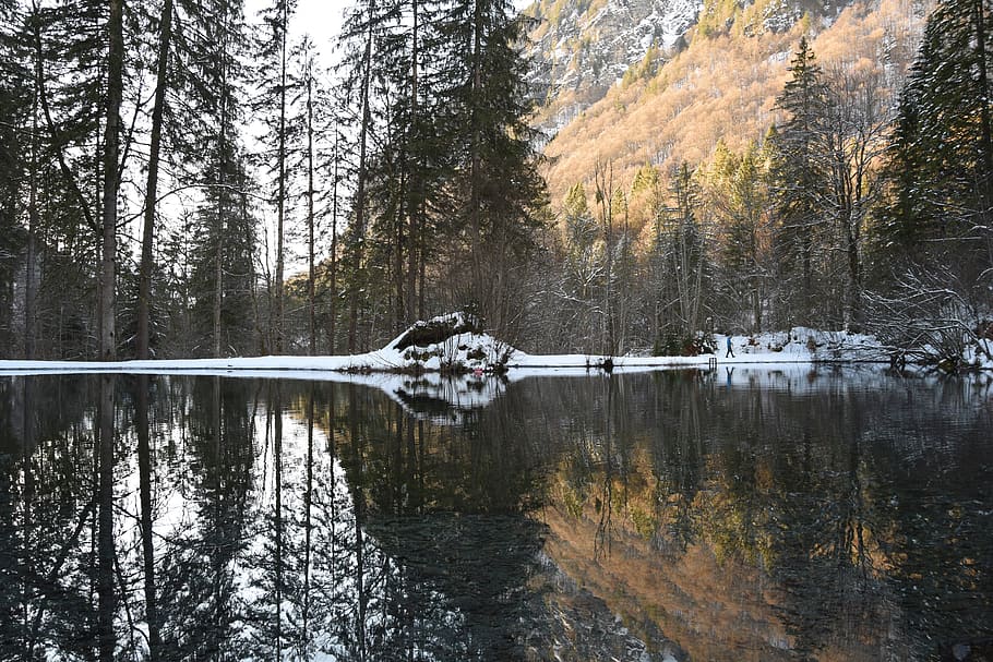 reflexiones, agua, bosque, invierno, naturaleza, lago, paisaje, frío,  árbol, reflexión | Pxfuel