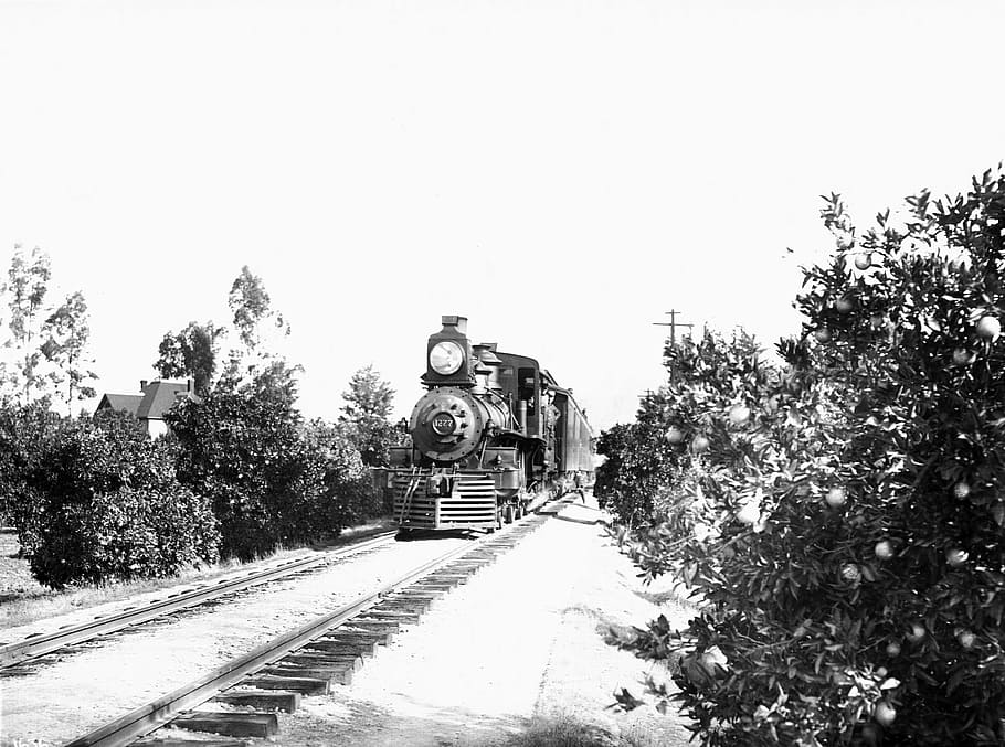 southern, pacific, railroad train, orange, grove, riverside, california, Southern Pacific Railroad, train, orange grove