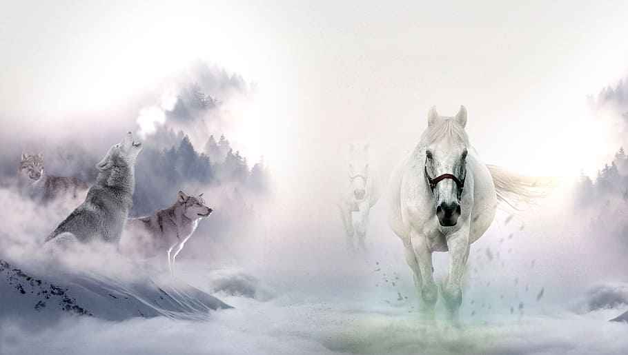 white, horses, wolves, clouds painting, wild, nature, mammal, fog, group of animals, domestic animals