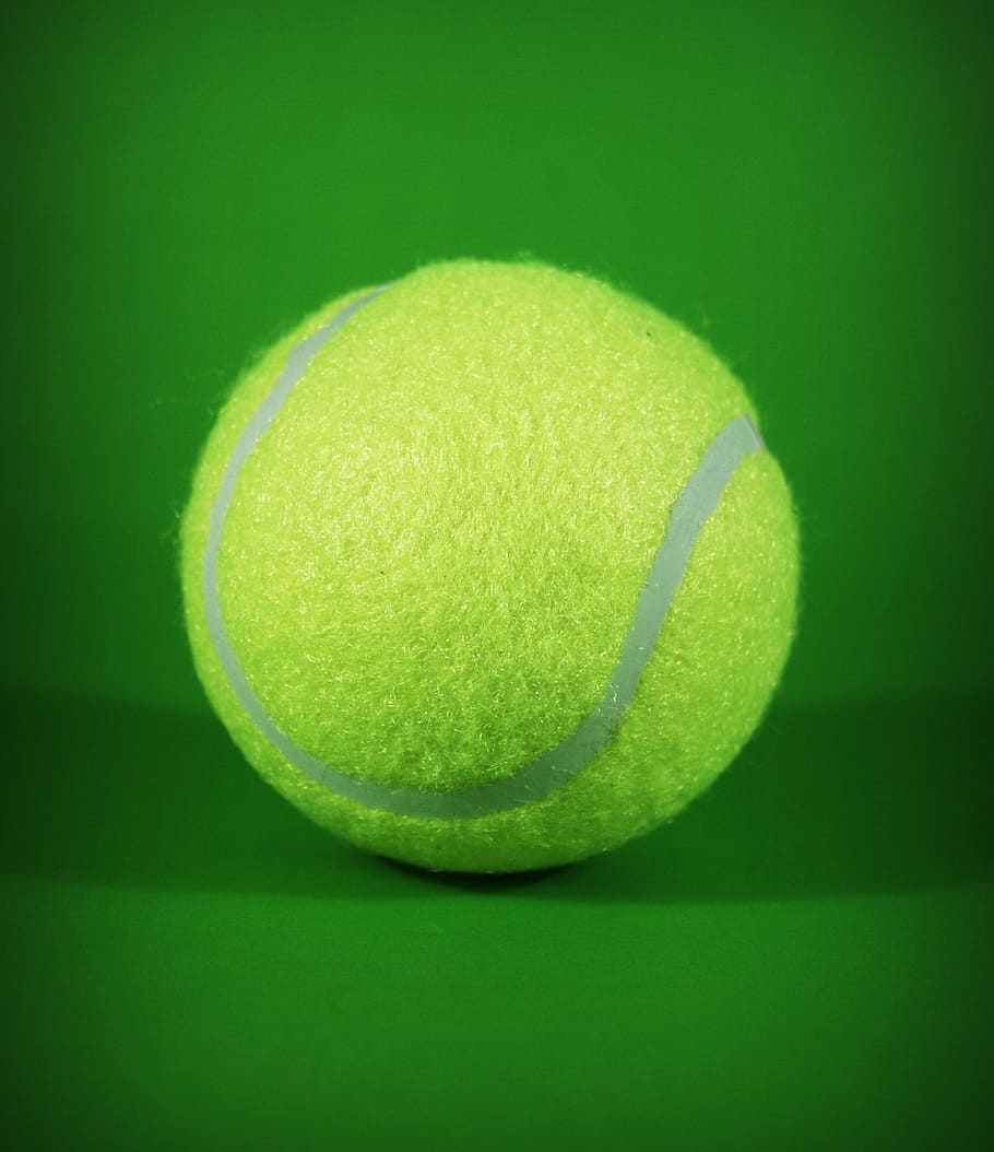 ball, white, shadow, object, background, closeup, game, isolated, leisure, hairy