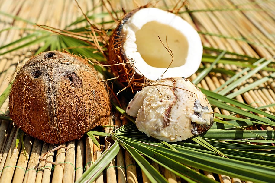 coconut shell, leaves, coconut, nut, shell, brown, pulp, exotic, food, close-up