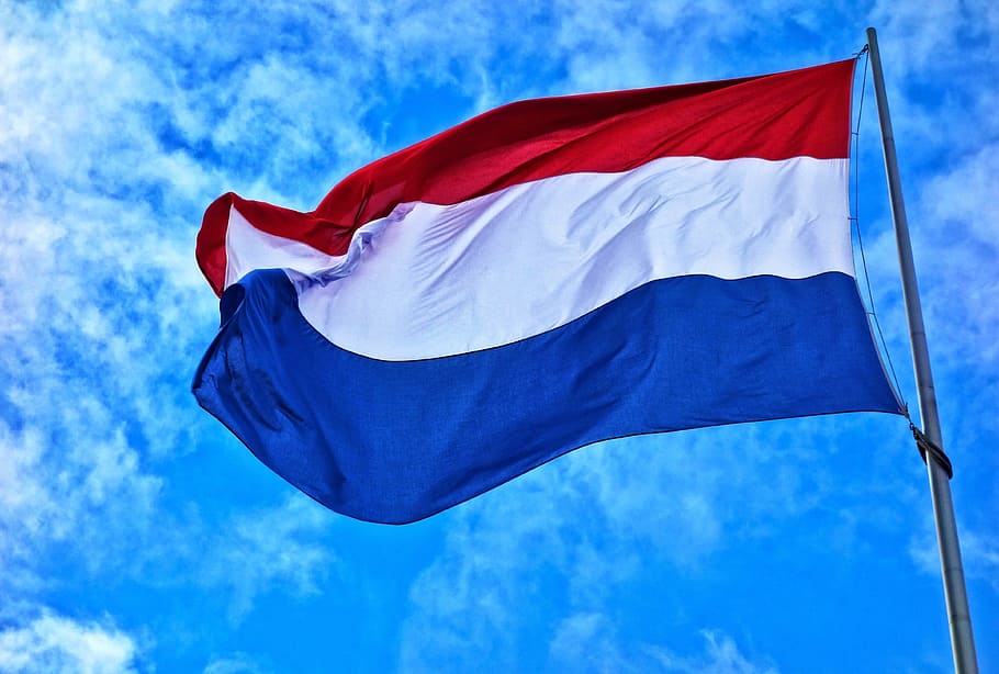 rojo, blanco, azul, rayado, papel pintado de la bandera, bandera, holandés, países bajos, bandera holandesa, patriótico