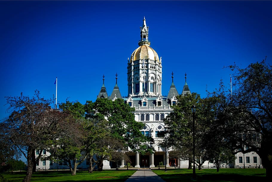cathedral, surrounded, green, leafed, trees, hartford, connecticut, state capitol, building, structure
