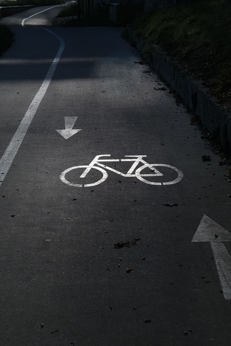 carretera, carril bici, foto de enfoque, ciclovía, indicador, ruta ciclista, bicicleta, lejos, alquitrán, marca