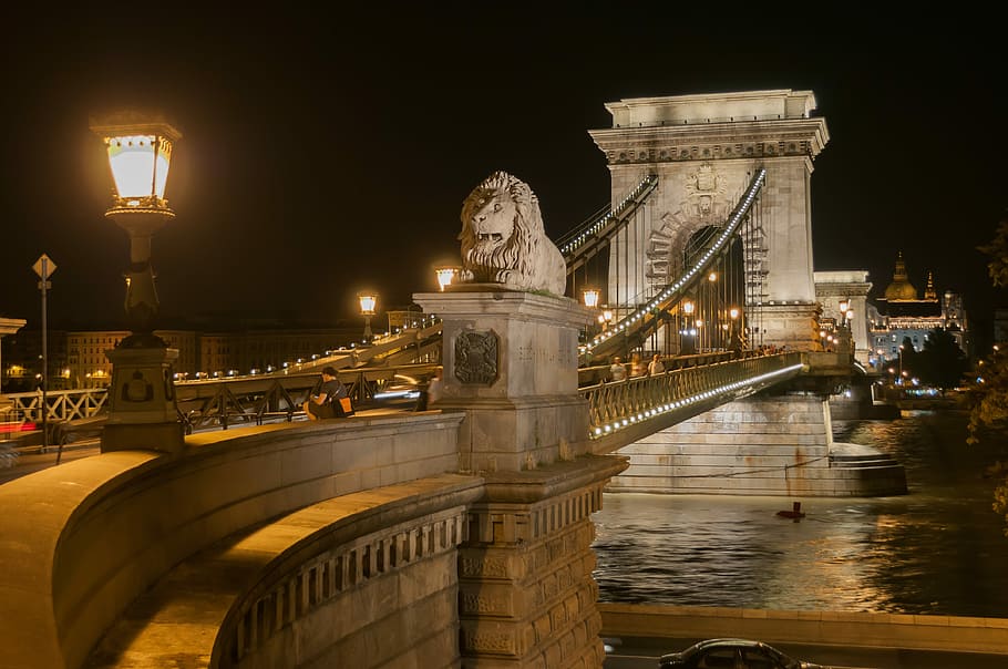 ponte de concreto cinza, Budapeste, ponte Chain, suspensão, arquitetura, danúbio, rio, leões, histórico, património