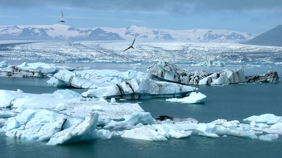 blanco, iceberg, durante el día, islandia, glaciar, ártico, hielo, iceberg - Formación de hielo, nieve, antártida