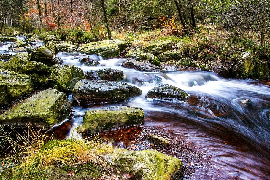 time-lapse photography, waterfalls, river, bach, water, flow, idyllic, waters, shrubs, trees