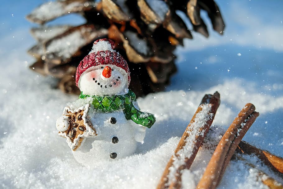 closeup, snowman, surrounded, snow, snow man, winter, white, cold, wintry, eismann