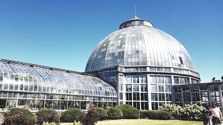 greenhouse, glasshouse, plants, building, architecture, modern, sky, dome, city, detroit