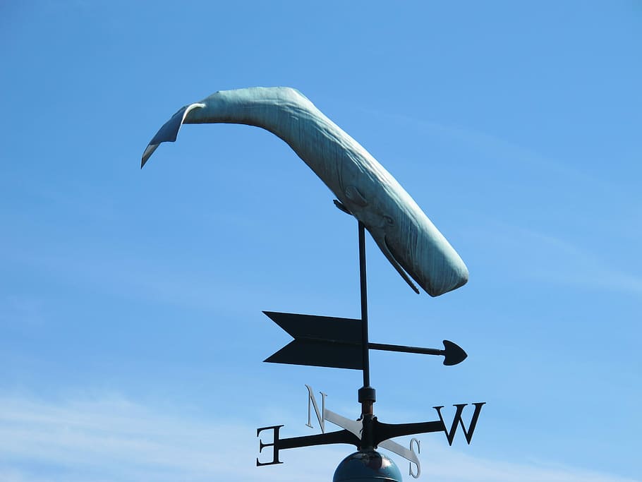 indicador de dirección del viento, Dirección del viento, Indicador de dirección, viento, dirección, cielo, ballena, norte, sur, este
