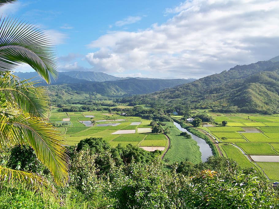kauai, hawaii, island, landscape, tropical, scenic, lush, valley, paradise, beauty in nature