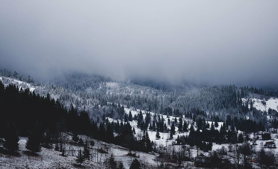 mountain, covered, snow, fog, highland, cloud, landscape, nature, valley, trees