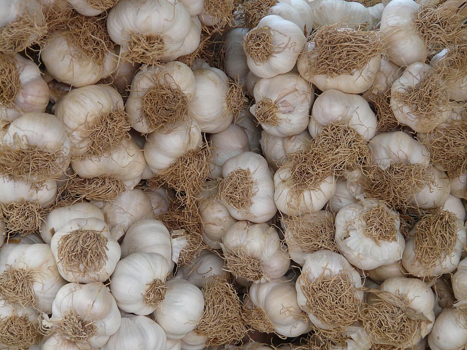 garlic, tubers, heads of garlic, food, spice, sharp, healthy, fragrance, substantial, market