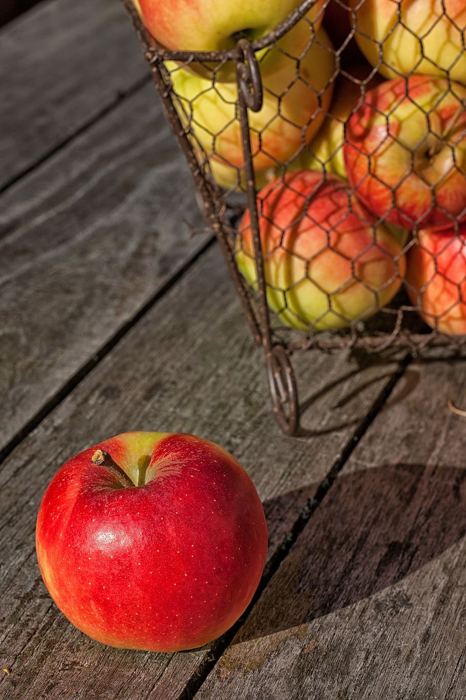 apple, harvest, fruit, red, apfelernte, summer, autumn, healthy, food and drink, healthy eating
