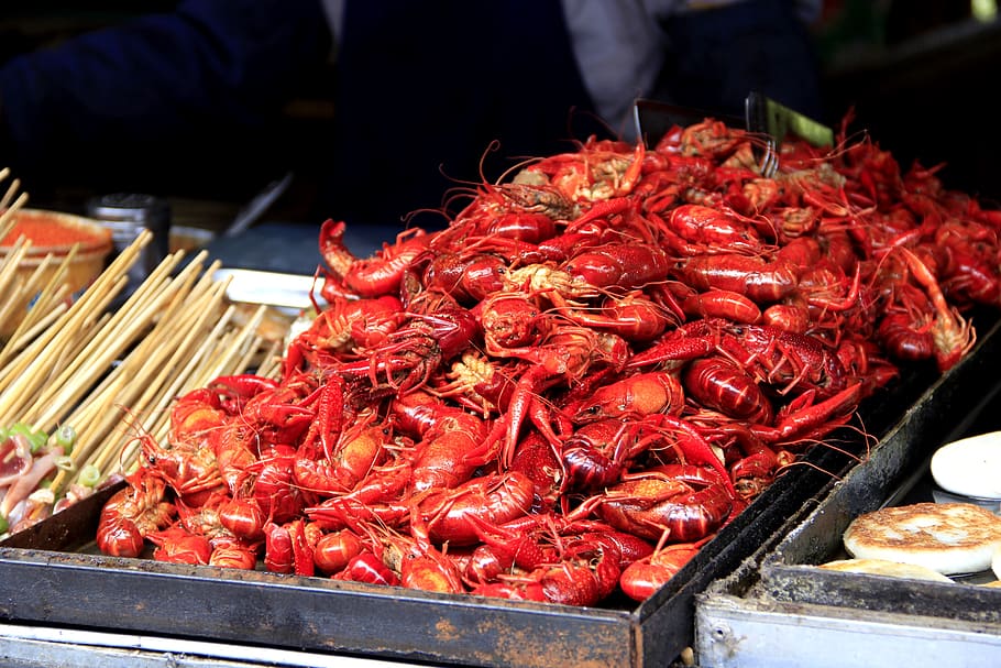 lobster, gourmet, barbecue, food and drink, food, freshness, market, seafood, red, large group of objects