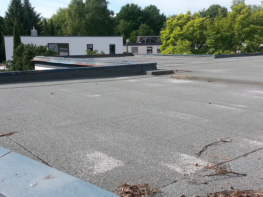 flat roof, bituminous felt, sealing, flat roofs, roofs, houses, tree, plant, day, architecture