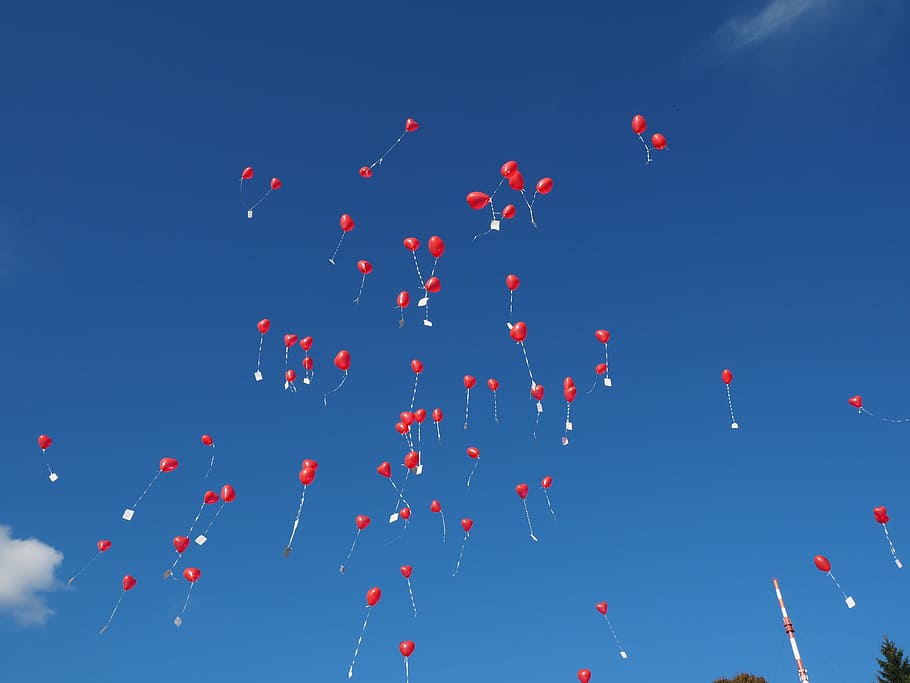 vermelho, balões de coração, voando, céu, balões, voar, casamento, parabéns, felicitações, ascensão