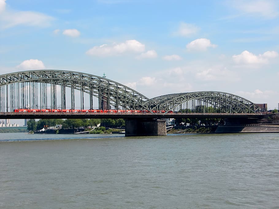 cologne, bridge, rhine, hohenzollern bridge, river, rheinland, historic preservation, railway bridge, metal, metal rods