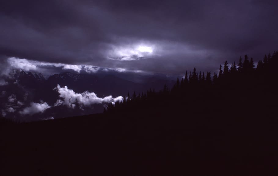 siluet pohon, gelap, malam, awan, langit, pohon, alam, bayangan, badai petir, badai