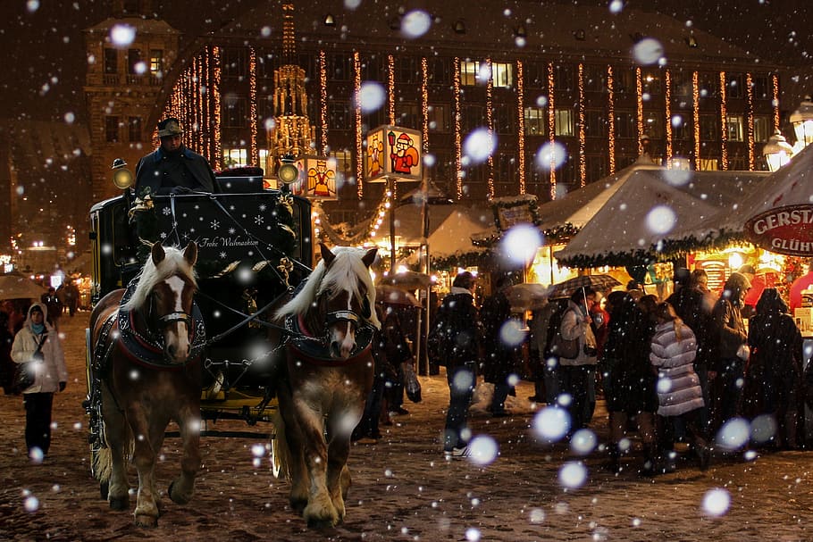 man, riding, horse carriage, raining, snow, untitled, christmas, nuremberg, christmas market, christmas buden