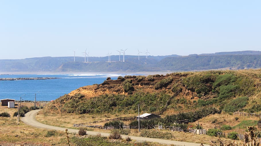 vento, energia, floresta, praia, poder, meio ambiente, eletricidade, alternativa, verde, renovável