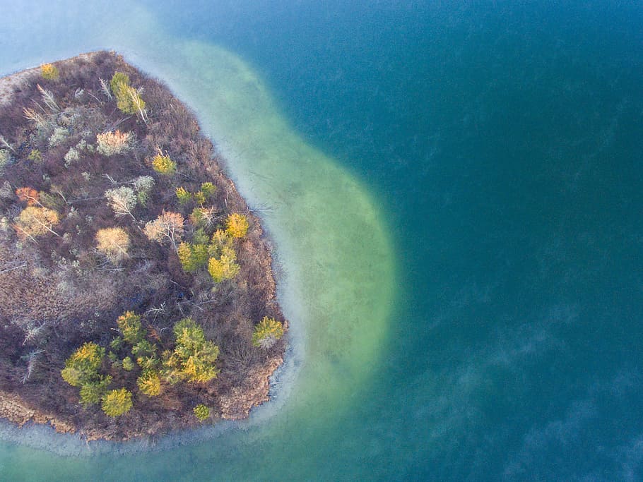 aerial, photography, islet, tree, plant, nature, fall, autumn, view, sea