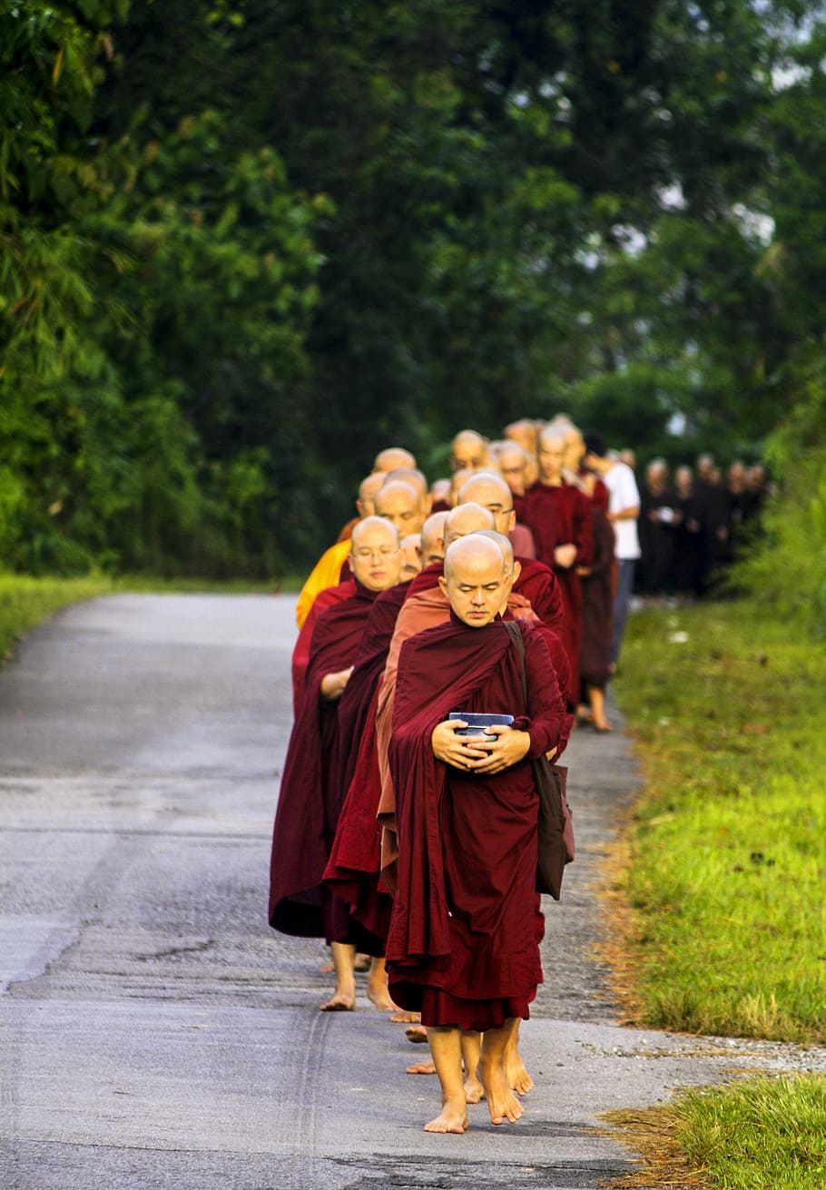 sangha in line, pindacara, pindapata, theravada monks, alms round, buddhist monks, religion, sangha on road, monk's life, full length