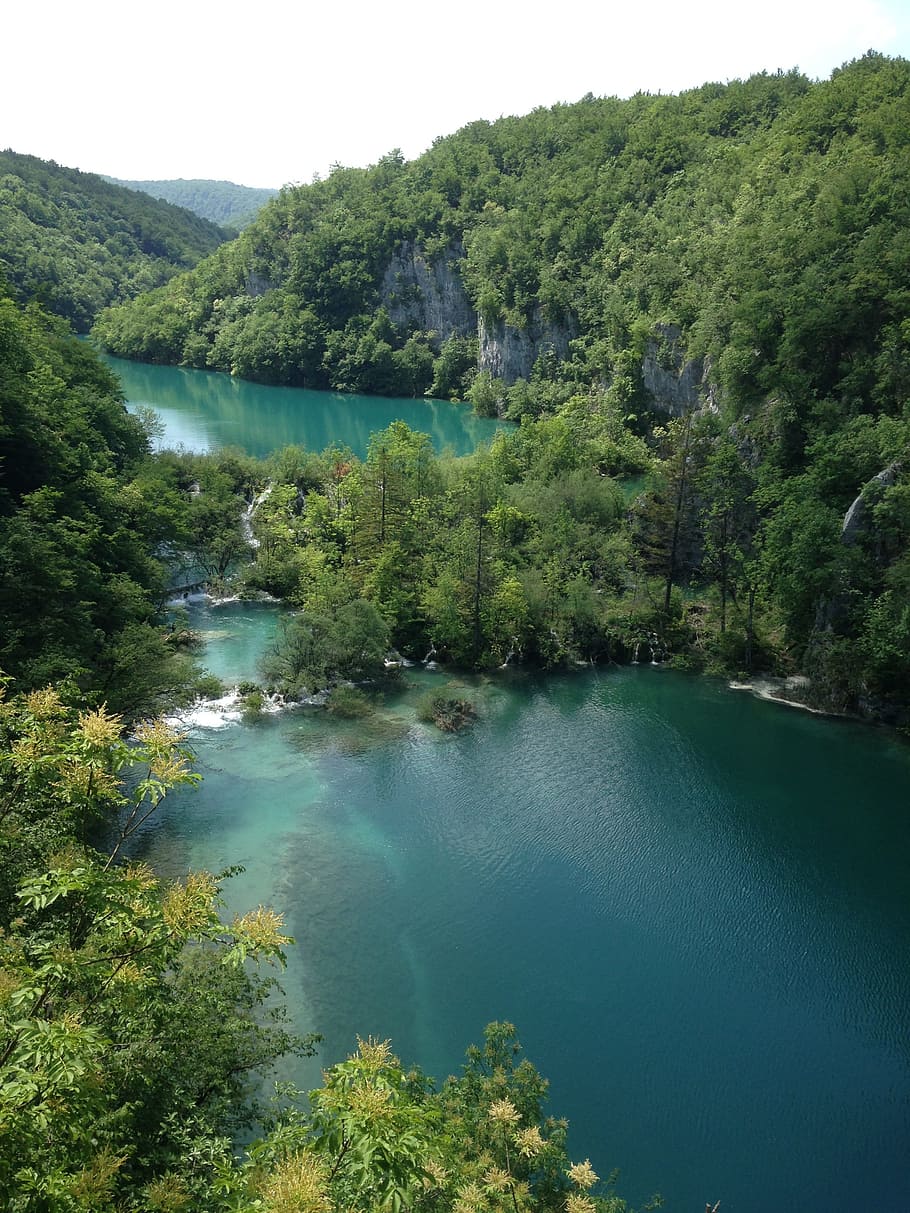 air, alam, sungai, perjalanan, pohon, danau plitvice, kroasia, scenics - alam, keindahan di alam, tanaman