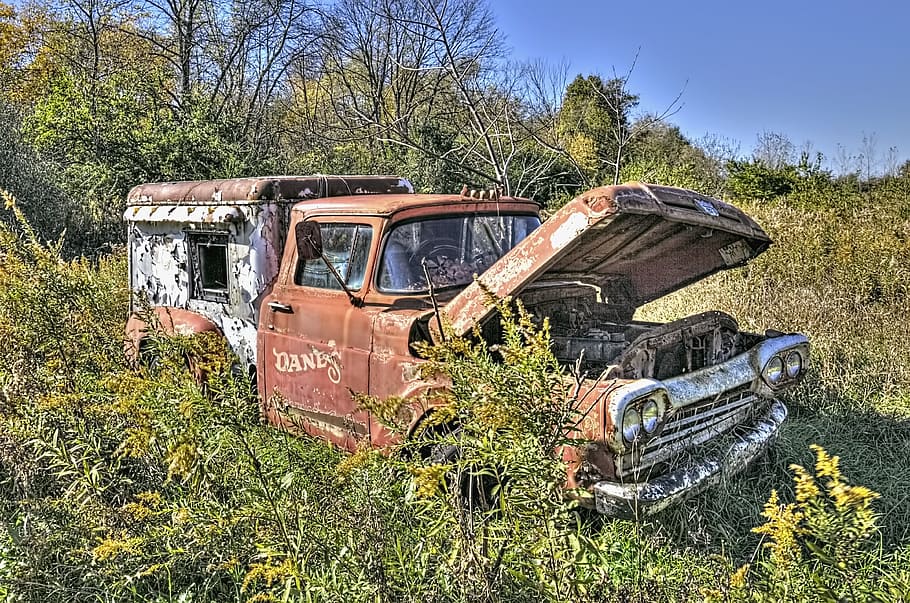 ice cream truck, ford, dilapidated, forgotten, abandoned, broken, countryside, rustic, decay, ruin