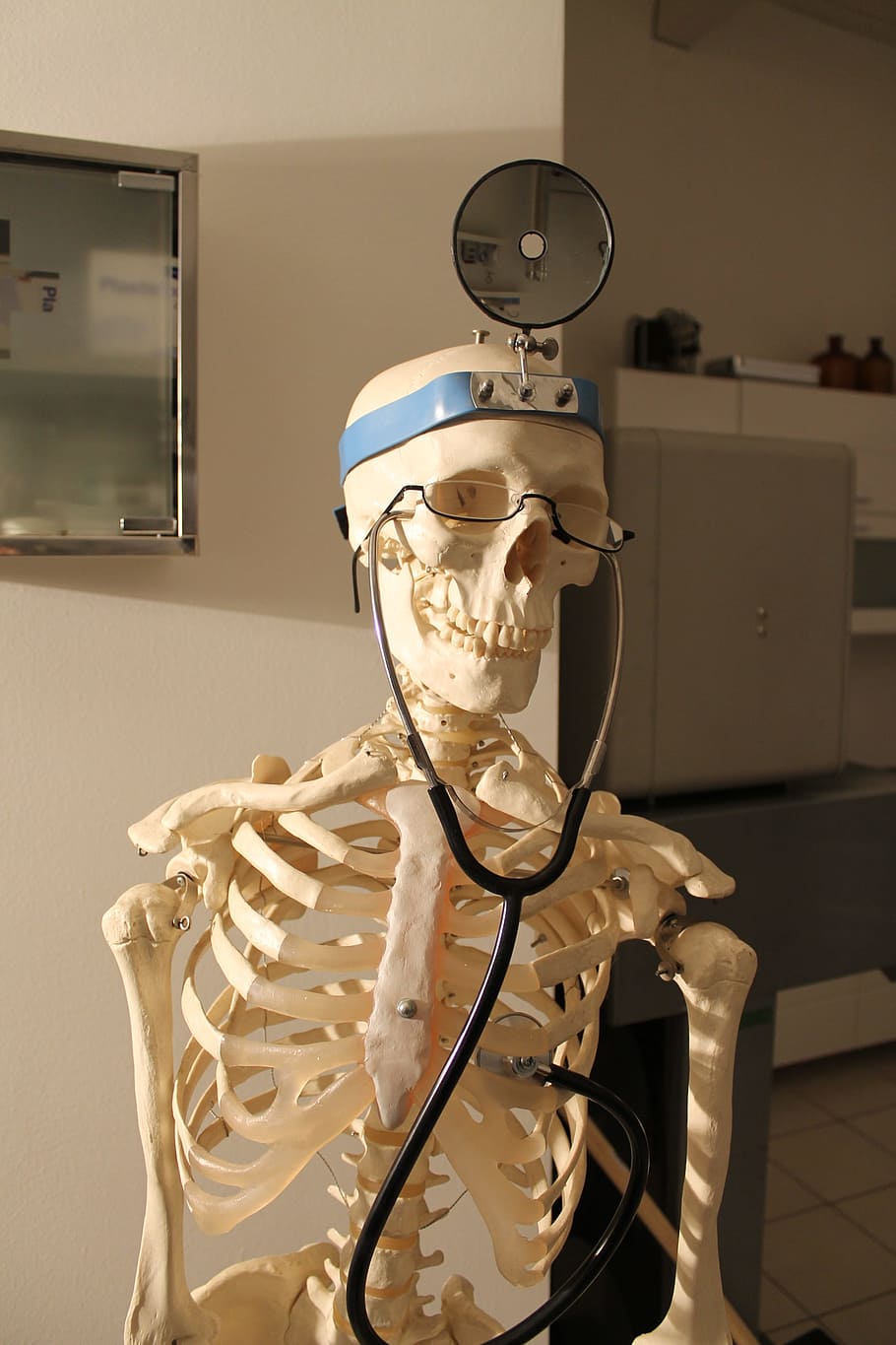 skeleton, doctor, fun, anatomy, bone, science, healthcare and medicine, indoors, representation, human skeleton