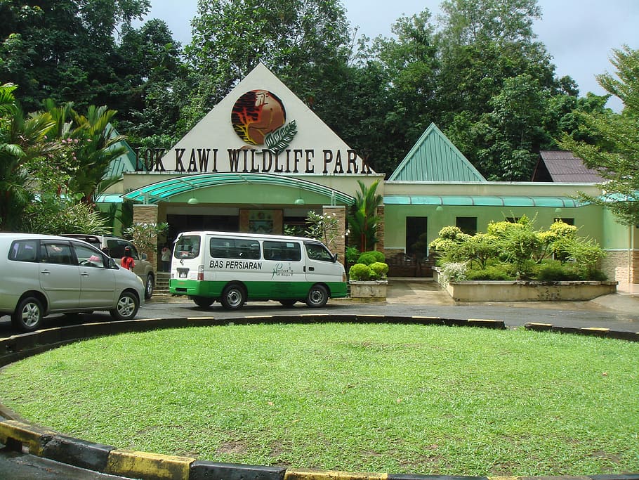 Lok Kawi, Wildlife Park, Sabah, Malásia, lok kawi wildlife park, jardim zoológico, parque, reabilitação, centro, árvore