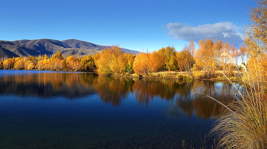 Arm, Twizel, NZ, danau dikelilingi pepohonan, air, langit, keindahan di alam, ketenangan, danau, pemandangan yang tenang