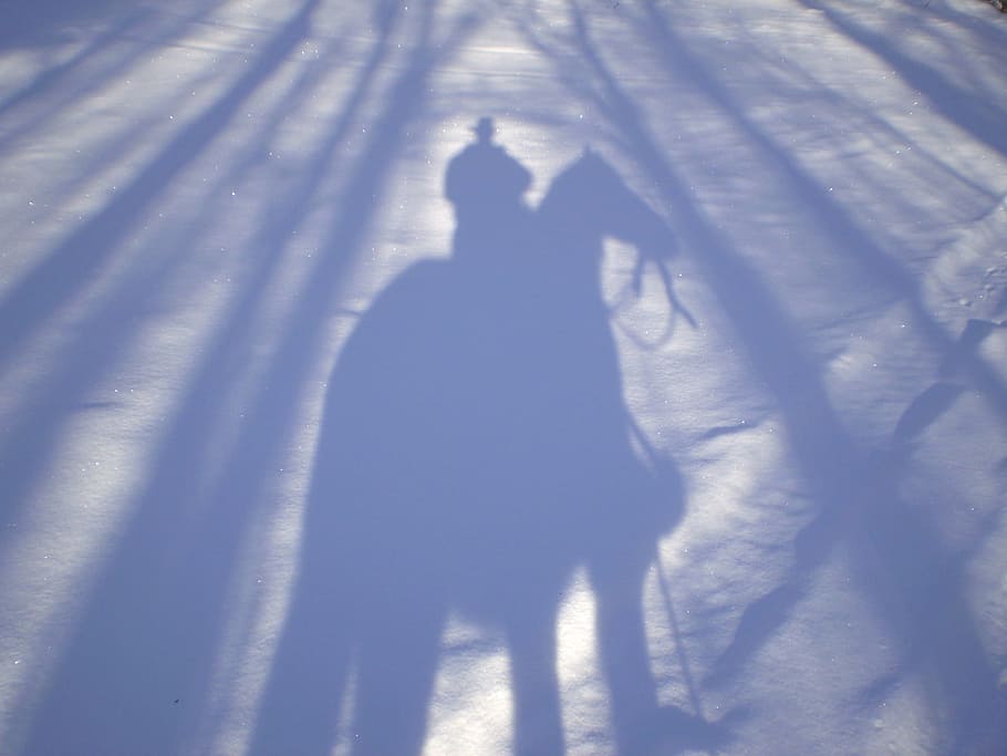 Cerrar, foto, sombra, hombre caballo, de cerca, caballo, hombre, vaquero, nieve, invierno