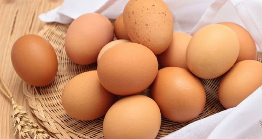 egg, eggs, food, healthy, eat, white, breakfast, chicken, protein, fresh