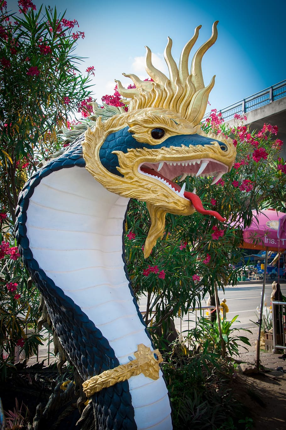 Naga, Tailandia, Mukdahan, representación, planta, arte y artesanía, creatividad, escultura, dragón, representación animal