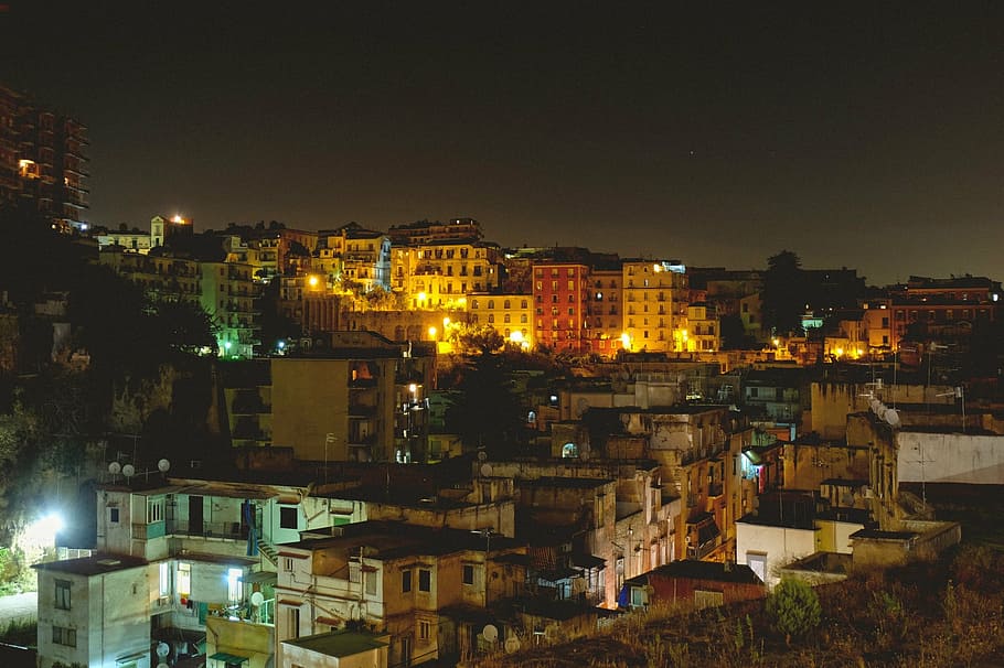 iluminado, casas, ao lado, árvore, cidade, luzes, urbano, noite, paisagem urbana, favelas