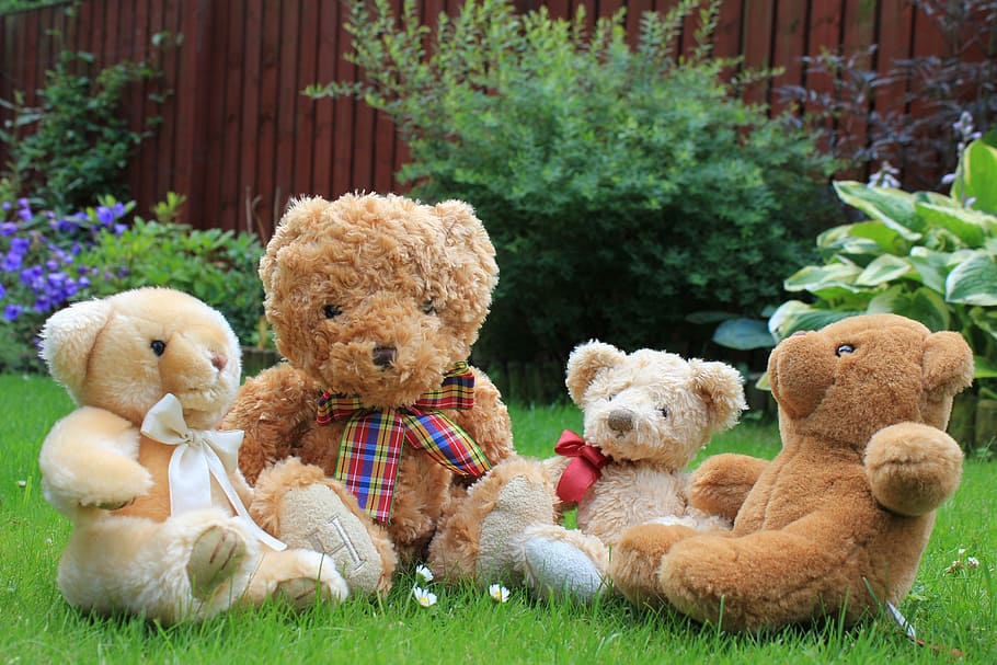 Teddy, Bear, Soft Toy, Lucu, Fur, masa kanak-kanak, lembut, diisi, hewan, suka diemong