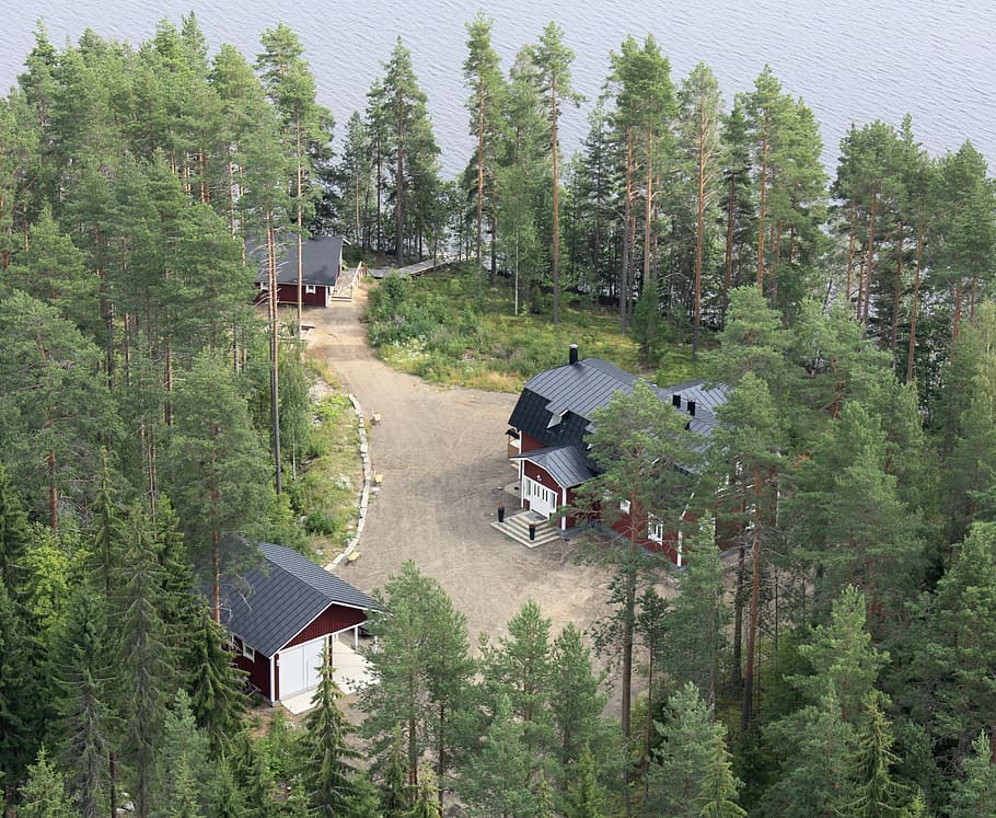 tuomarniemi, tuomarniemi manor, estates in finland, villa tuomarniemi, holiday home tuomarniemi, tree, plant, built structure, architecture, forest