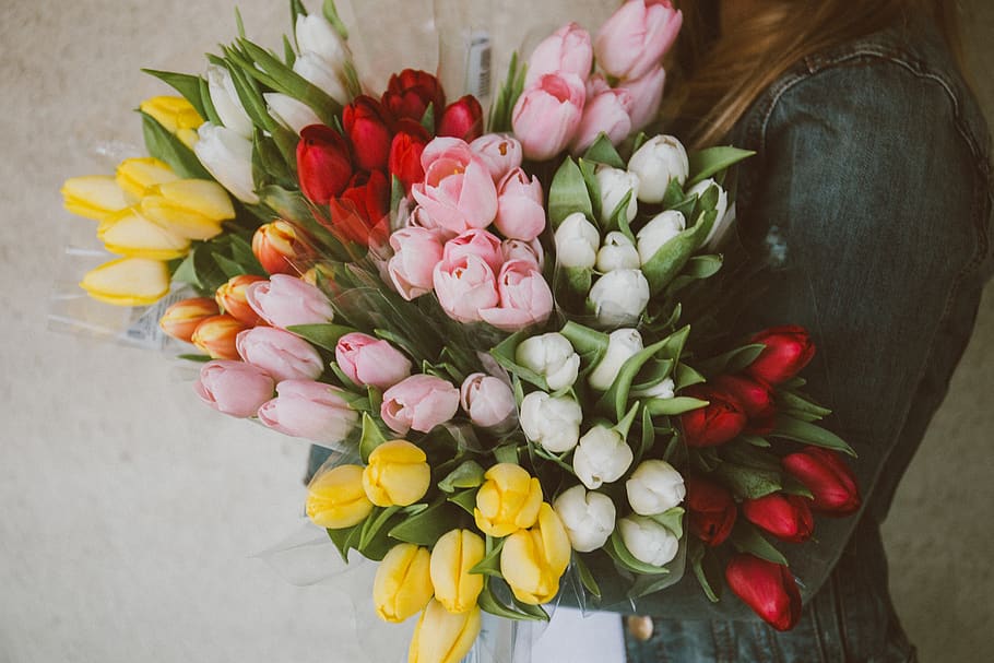 tulips, flowers, bouquet, girl, woman, people, easter, flowering plant, flower, plant