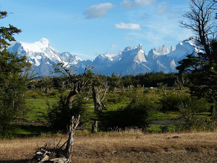 Chile, South America, Patagonia, landscape, nature, torres del paine, national park, unesco, mountains, forest