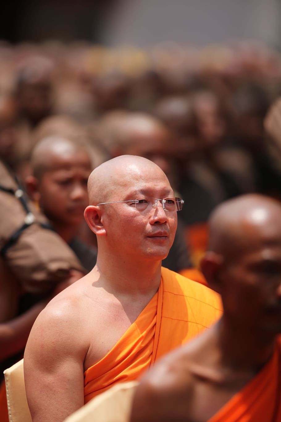 Monk, Buddhist, Meditate, Tradition, ceremony, orange, robe, man, thailand, thai
