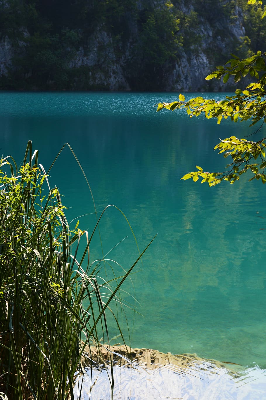plitvice, croatia, lake, national park, reed, trees, light, summer, green, turquoise